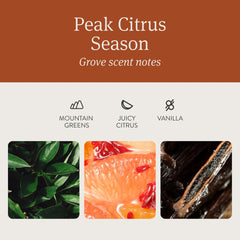 Drift Car Air Freshener - Wood Air Freshener - Car Odor Eliminator - Teak Scent Starter Kit