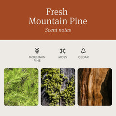 Drift Car Air Freshener - Wood Air Freshener - Car Odor Eliminator - Teak Scent Starter Kit